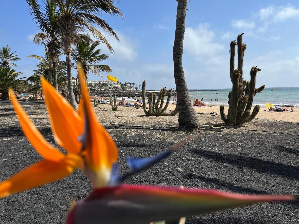 Casa Minerva Lejlighed Costa Teguise Eksteriør billede